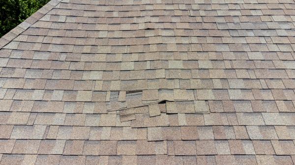 Roof Leak Inspection in Pittsfield