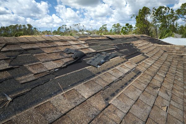 Roof Damage Repair in Pittsfield