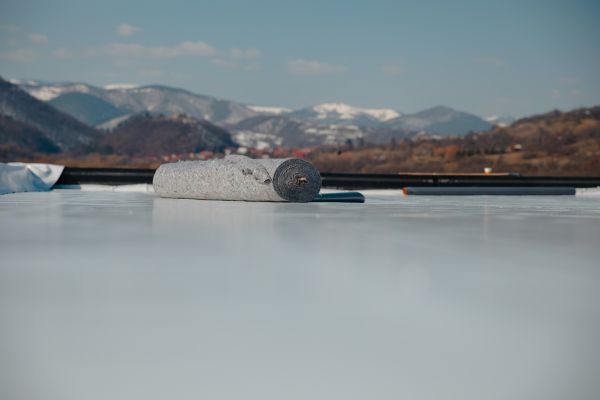 Tpo Roof Coating Service in Pittsfield