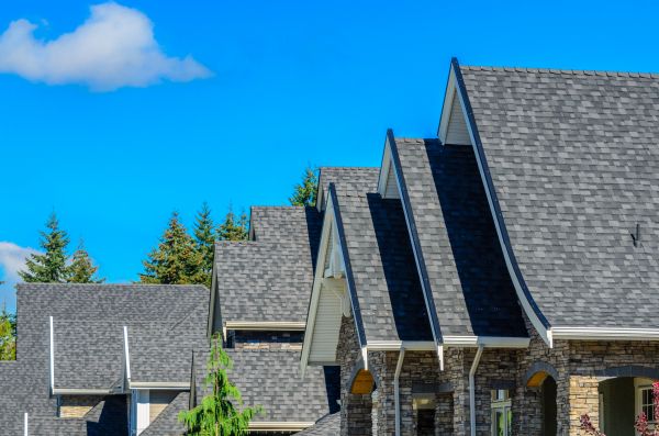Roof Care