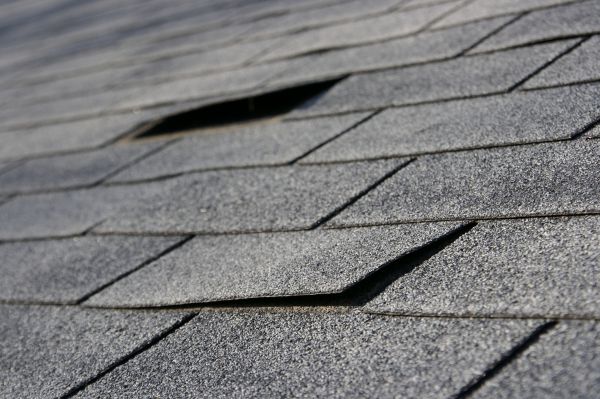 Shingle Replacement Service in Pittsfield